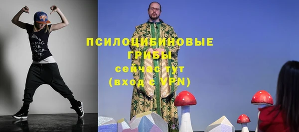 МДПВ Навашино