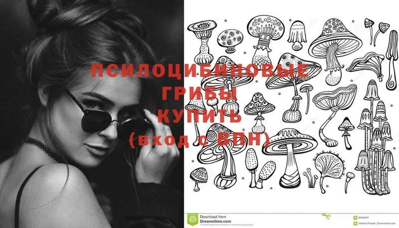 Псилоцибиновые грибы Psilocybine cubensis  ОМГ ОМГ как зайти  Почеп 